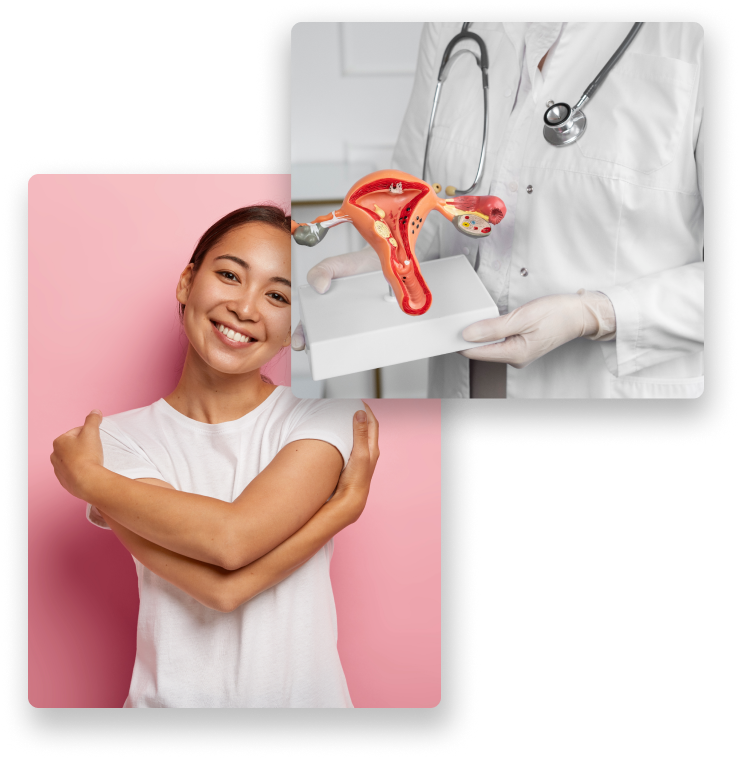 Ginecologia - Isabella Reis